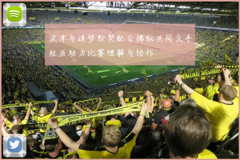 波津与追梦默契配合揭秘共同交手经历助力比赛理解与协作